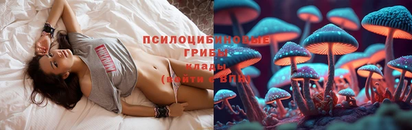 эйфоретик Кодинск