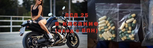 твердый Козельск