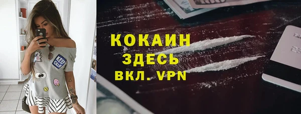 твердый Козельск