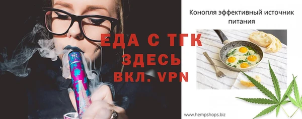твердый Козельск