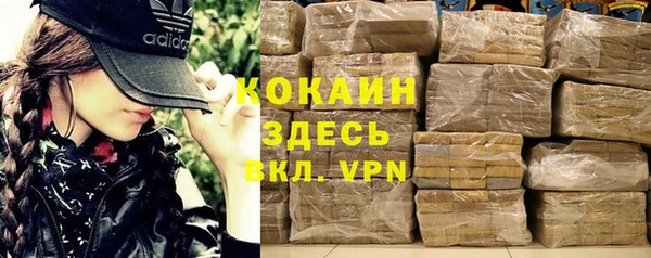 твердый Козельск