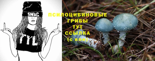 твердый Козельск