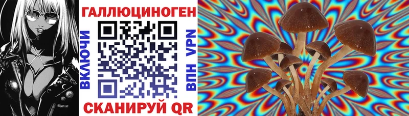 Купить  Дюртюли  Галлюциногенные грибы GOLDEN TEACHER 