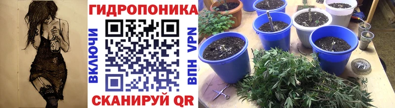 Бошки марихуана White Widow  Купить  Дюртюли 